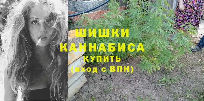 Канабис White Widow  как найти наркотики  Череповец 